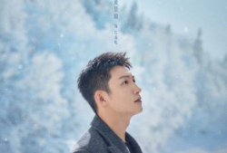 冬至电视剧剧情介绍,揭秘神秘家族的复仇之路