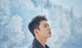 冬至电视剧剧情介绍,揭秘神秘家族的复仇之路