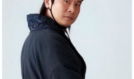 张世电视剧,传奇人生，光影交织的演艺生涯