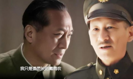 中统军统电视剧,中统军统风云录