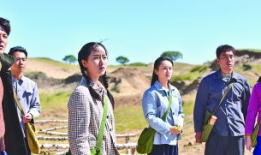 电视剧最美,电视剧中的感人故事与人生哲理