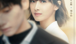 心跳电视剧,揭秘都市情感纠葛，探寻爱情与命运的交织