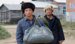 大院子女电视剧,岁月流转中的青春记忆