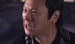 张世电视剧,传奇人生，光影交织的演艺生涯