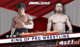 91vs摔角直播,激情四溢的摔角盛宴