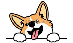 小狗漫画,欢乐日常，温馨瞬间