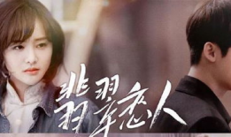 必看电视剧,经典剧集重温之旅