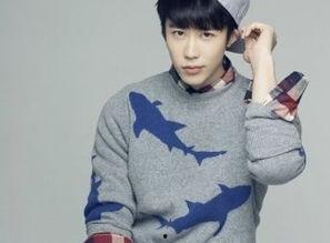 冉旭电视剧,传奇人生，光影交织的岁月篇章