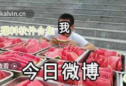 吃瓜爆料全集在线观看,揭秘娱乐圈幕后真相