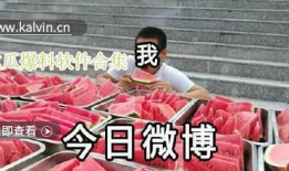 吃瓜爆料全集在线观看,揭秘娱乐圈幕后真相