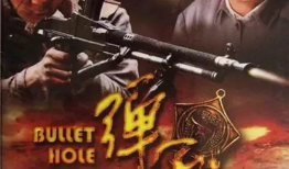 电视剧弹孔剧情介绍,生死边缘的正义之战