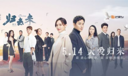 电视剧归去来,青春追梦，砥砺前行