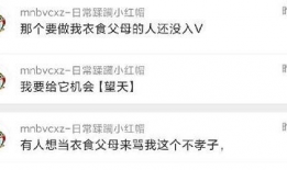 吃瓜爆料全集在线观看,揭秘娱乐圈幕后真相