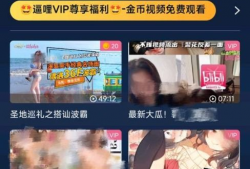 六颜直播app成人看片app,成人内容平台背后的真相与争议