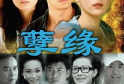 孽缘电视剧,爱恨交织的宿命纠葛