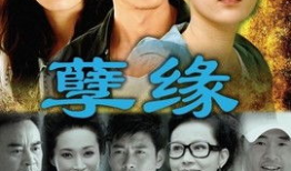 孽缘电视剧,爱恨交织的宿命纠葛