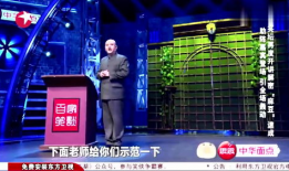 麻豆 孙建宏,时尚界的璀璨新星