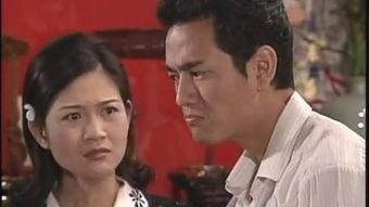 闽南语电视剧,穿越时空的闽南语电视剧之旅